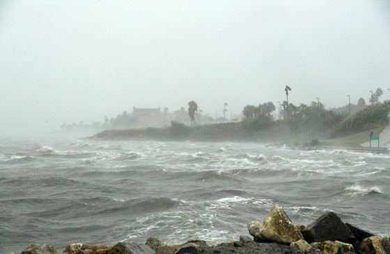 اعصار هارفي الرهيب يجتاح تكساس وترامب يعلن حالة الطوارئ.. فيديو صورة رقم 6