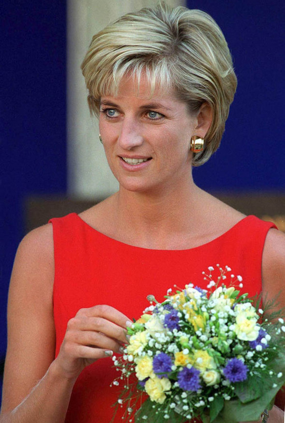 الطيار الذي نقل جثمان الاميرة ديانا من باريس الى لندن يخرج عن صمته صورة رقم 12