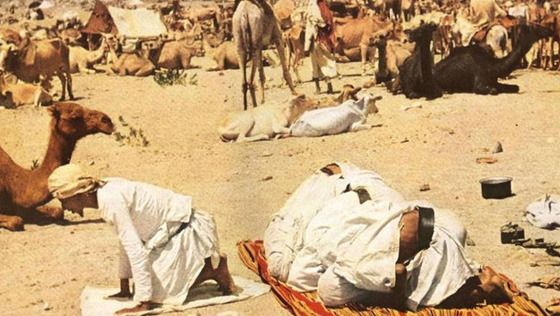 الذاهب اليه مفقود والعائد منه مولود.. هكذا حج المسلمون في الماضي البعيد صورة رقم 2