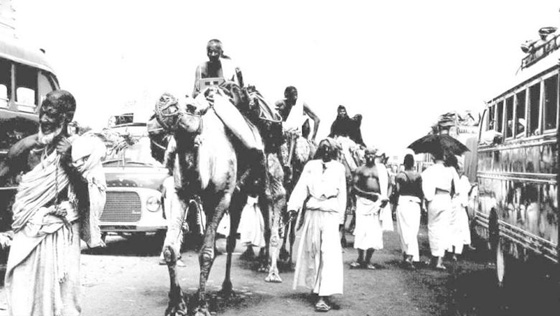 الذاهب اليه مفقود والعائد منه مولود.. هكذا حج المسلمون في الماضي البعيد صورة رقم 3