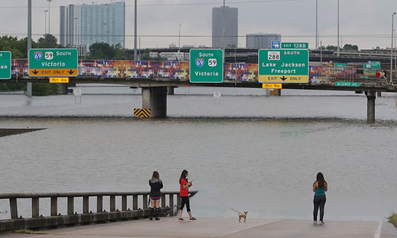 هيوستن تغرق ويلحق بها دمار هائل بعد اعصار هارفي الكارثي صورة رقم 3