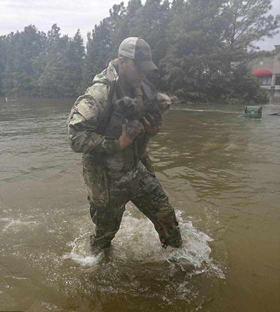 هيوستن تغرق ويلحق بها دمار هائل بعد اعصار هارفي الكارثي صورة رقم 15
