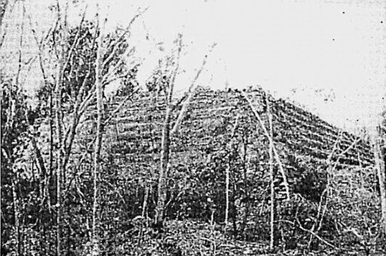 فيديو وصور: اكتشاف هرم مصري سرّي مخبأ في أستراليا صورة رقم 2