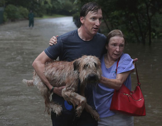 إعصار هارفي يشرد ويقتل الآلاف وتحذير من تسرب كيماوي صورة رقم 10