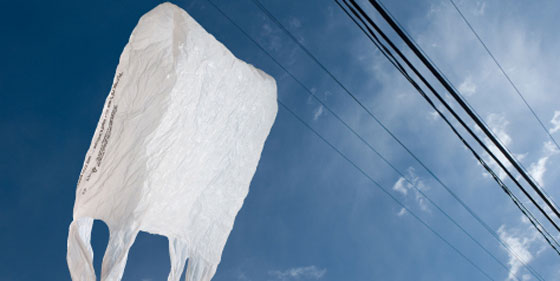 هذا هو عقاب من يستخدم كيس بلاستيكي في كينيا صورة رقم 3