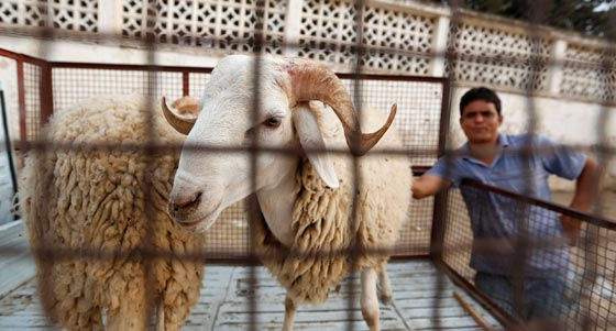 صور: هكذا احتفل المسلمون بمناسبة عيد الأضحى المبارك حول العالم صورة رقم 14