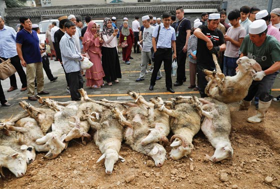 صور: هكذا احتفل المسلمون بمناسبة عيد الأضحى المبارك حول العالم صورة رقم 6