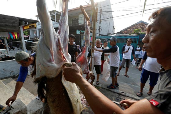 صور: هكذا احتفل المسلمون بمناسبة عيد الأضحى المبارك حول العالم صورة رقم 3