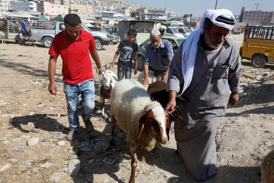 صور: هكذا احتفل المسلمون بمناسبة عيد الأضحى المبارك حول العالم صورة رقم 13