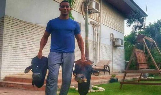 صور فنانين مع خروف العيد منهم محمد رمضان، الراقصة دينا والشحرورة صورة رقم 1