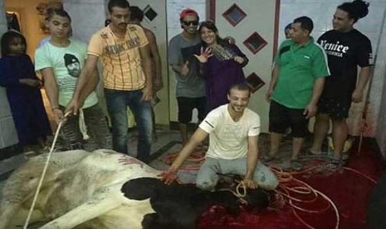 صور فنانين مع خروف العيد منهم محمد رمضان، الراقصة دينا والشحرورة صورة رقم 2
