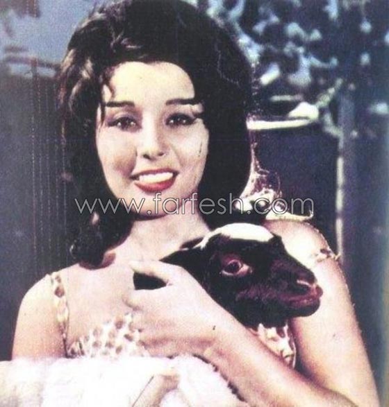 صور فنانين مع خروف العيد منهم محمد رمضان، الراقصة دينا والشحرورة صورة رقم 11