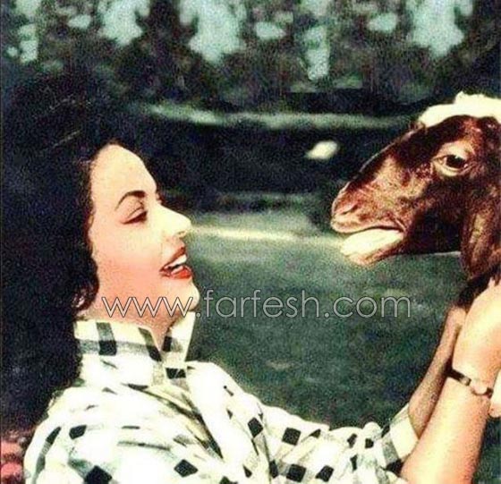 صور فنانين مع خروف العيد منهم محمد رمضان، الراقصة دينا والشحرورة صورة رقم 6