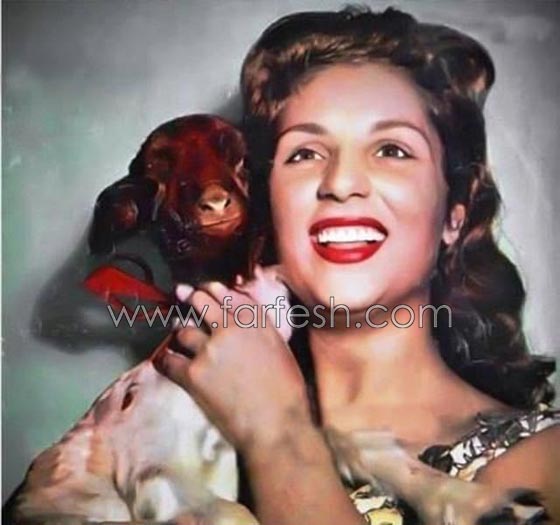 صور فنانين مع خروف العيد منهم محمد رمضان، الراقصة دينا والشحرورة صورة رقم 5