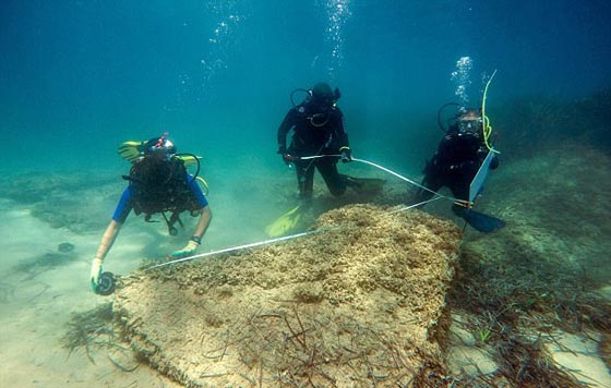 اكتشاف مدينة رومانية قديمة في تونس أغرقها تسونامي قبل 1600 عام! صورة رقم 6