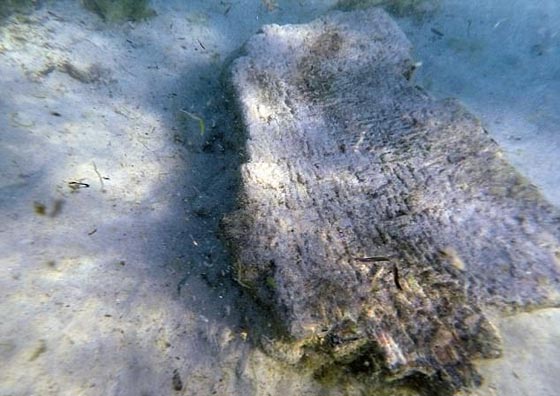 اكتشاف مدينة رومانية قديمة في تونس أغرقها تسونامي قبل 1600 عام! صورة رقم 2