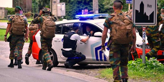 طيار حربي يقفز من طائرته منتحرا اثناء استعراض عسكري صورة رقم 3