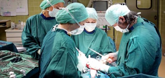 الحاصلون على نوبل: هكذا سينتهي العالم ولهذه الاسباب ستفنى البشرية صورة رقم 2