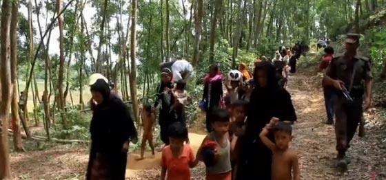 ميانمار: من هم (الروهينجا) الأقلية المسلمة الذين يعيشون حياة صعبة؟ فيديو صورة رقم 6