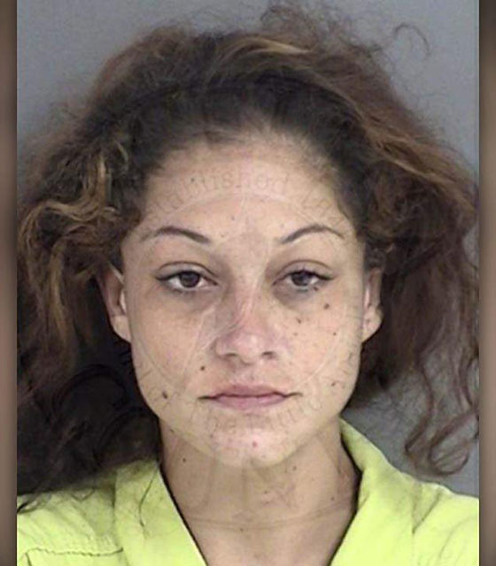 بالفيديو.. فتاة أمريكية مكبلة تفك قيودها وتهرب بسيارة الشرطة صورة رقم 5