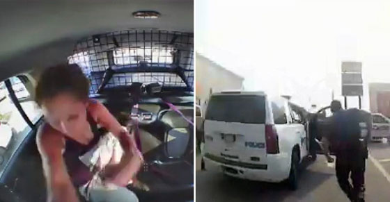 بالفيديو.. فتاة أمريكية مكبلة تفك قيودها وتهرب بسيارة الشرطة صورة رقم 4
