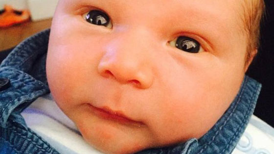 كلب يفترس طفلا رضيعا بعد أن سكر والده ونام لافراطه في شرب الجعة صورة رقم 1