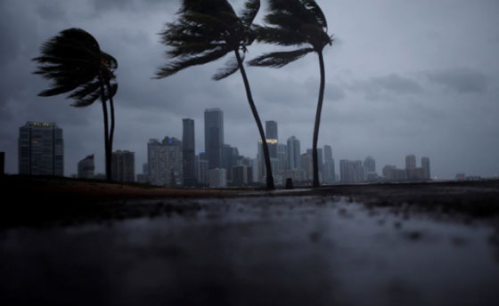 فلوريدا: الحاكم يأمر نحو 6.3 ملايين بإخلاء منازلهم بسبب الإعصار إرما صورة رقم 6