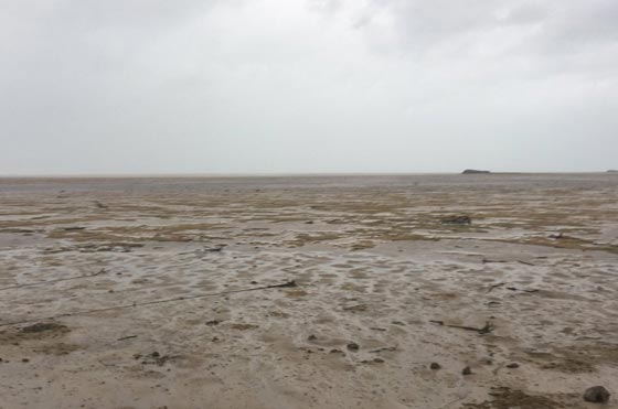 الاعصار ايرما مرّ من هنا.. اين اختفت مياه البحر من جزر الباهاماس؟ صورة رقم 1