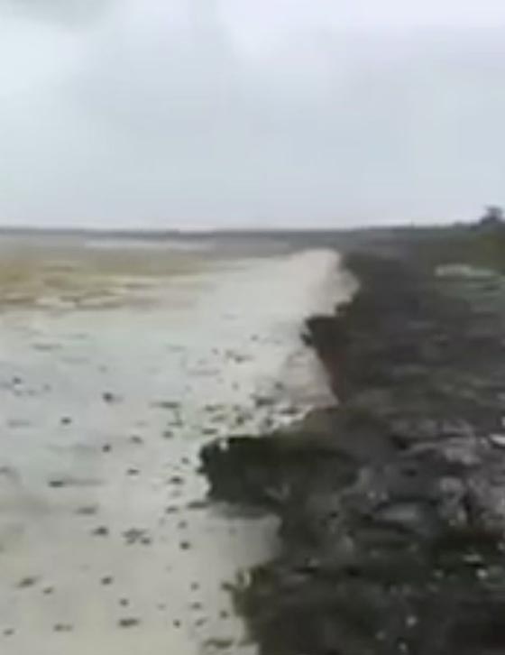 الاعصار ايرما مرّ من هنا.. اين اختفت مياه البحر من جزر الباهاماس؟ صورة رقم 4