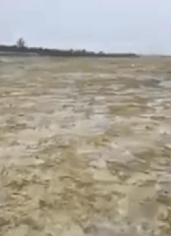 الاعصار ايرما مرّ من هنا.. اين اختفت مياه البحر من جزر الباهاماس؟ صورة رقم 6