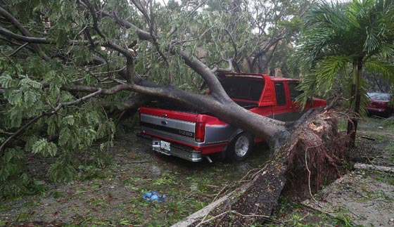 اعصار ايرما يتحرك غربا بعد ان خلف دمارا كارثيا في كوبا وفلوريدا صورة رقم 8