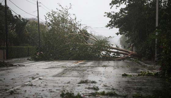 اعصار ايرما يتحرك غربا بعد ان خلف دمارا كارثيا في كوبا وفلوريدا صورة رقم 10