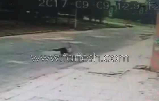 فيديو مروع.. لحظة سقوط رجل من الطابق السادس وارتطامه بالأرض صورة رقم 4