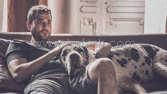 ماذا قال أحمد عزّ عن تفوق فيلمه (الخلية) على (كنز) محمد رمضان؟ صورة رقم 4
