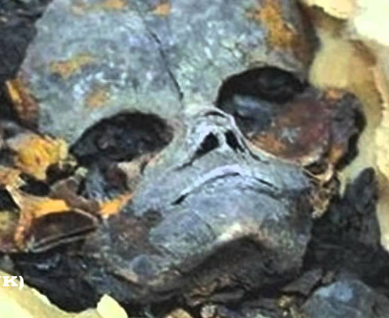 بالفيديو: كائنات فضائية بنت أبو الهول والاهرامات وما زالت تزورهما! صورة رقم 5