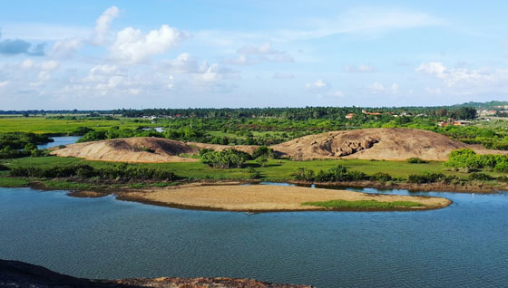 فيديو مؤلم.. تمساح يفترس محرر واحدة من اهم الصحف عندما كان يحاول غسل يديه صورة رقم 17