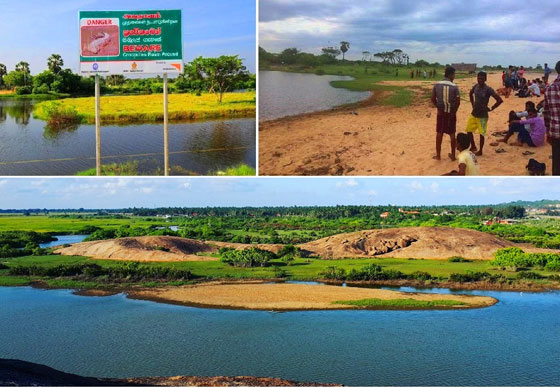 فيديو مؤلم.. تمساح يفترس محرر واحدة من اهم الصحف عندما كان يحاول غسل يديه صورة رقم 2