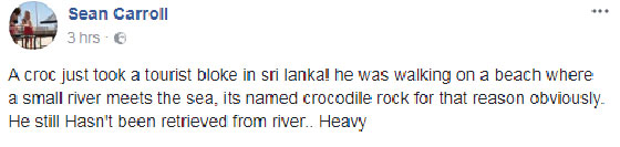 فيديو مؤلم.. تمساح يفترس محرر واحدة من اهم الصحف عندما كان يحاول غسل يديه صورة رقم 4