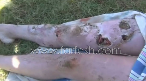 فيديو مؤلم.. تمساح يفترس محرر واحدة من اهم الصحف عندما كان يحاول غسل يديه صورة رقم 9