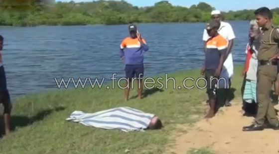 فيديو مؤلم.. تمساح يفترس محرر واحدة من اهم الصحف عندما كان يحاول غسل يديه صورة رقم 10