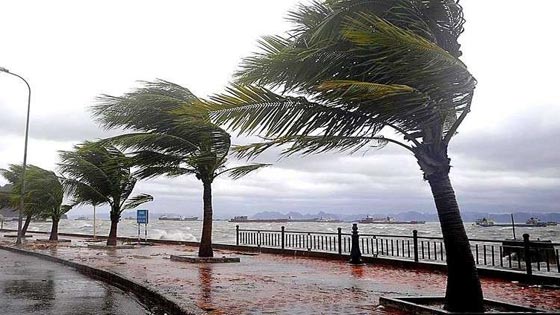 الاعصار ماريا يتحول الى الدرجة الخامسة ويصبح الاكثر خطورة صورة رقم 6