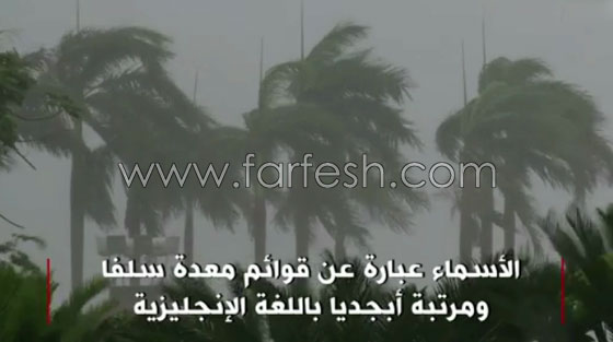 بالفيديو.. من هنا تأتي أسماء الأعاصير صورة رقم 2