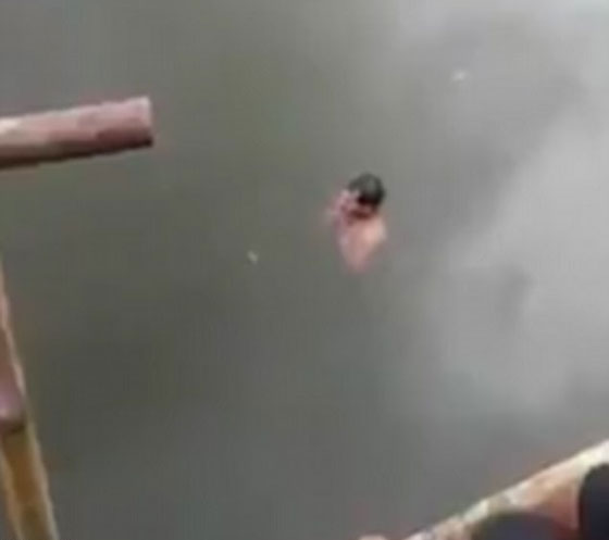 هذا ما حدث لمغامر اندونيسي تحدى التماسيح معتقدا انه اقوى منها! فيديو صادم! صورة رقم 1