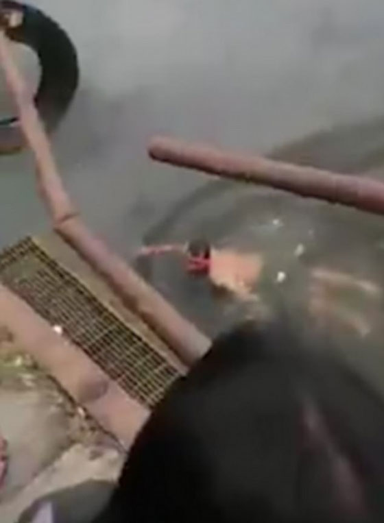 هذا ما حدث لمغامر اندونيسي تحدى التماسيح معتقدا انه اقوى منها! فيديو صادم! صورة رقم 3