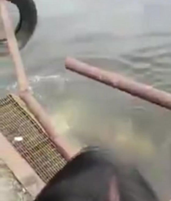 هذا ما حدث لمغامر اندونيسي تحدى التماسيح معتقدا انه اقوى منها! فيديو صادم! صورة رقم 4