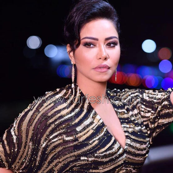 فيديو حقيقة طلب شيرين 50 يورو مقابل صورة مع معجبة صورة رقم 9