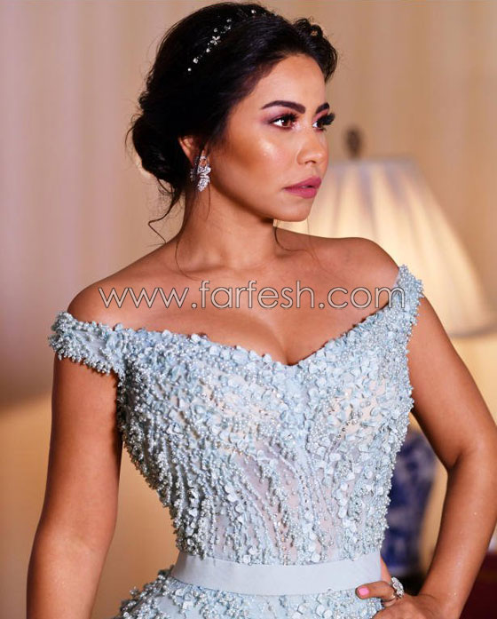 فيديو حقيقة طلب شيرين 50 يورو مقابل صورة مع معجبة صورة رقم 11