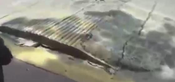 فيديو مذهل.. الأرض تتنفس وتملأ النفوس رعبا اثناء زلزال المكسيك صورة رقم 2