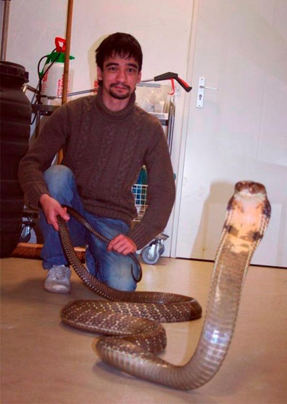خبير حيوانات روسي يموت بالبث المباشر من لدغة افعى صورة رقم 6