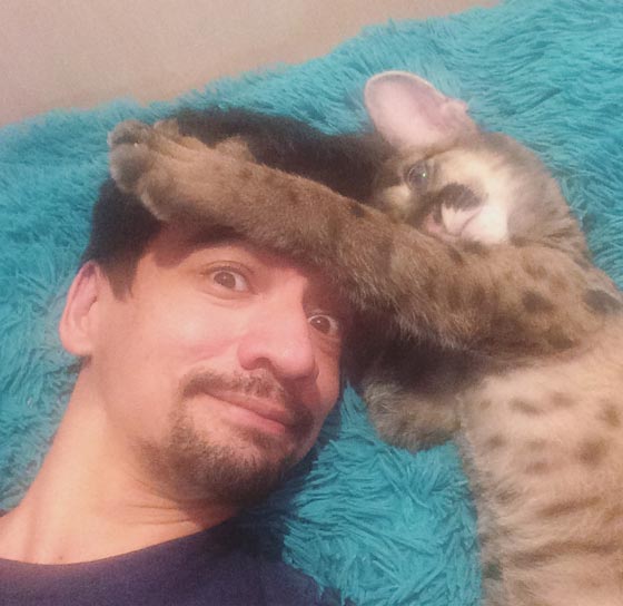 خبير حيوانات روسي يموت بالبث المباشر من لدغة افعى صورة رقم 7